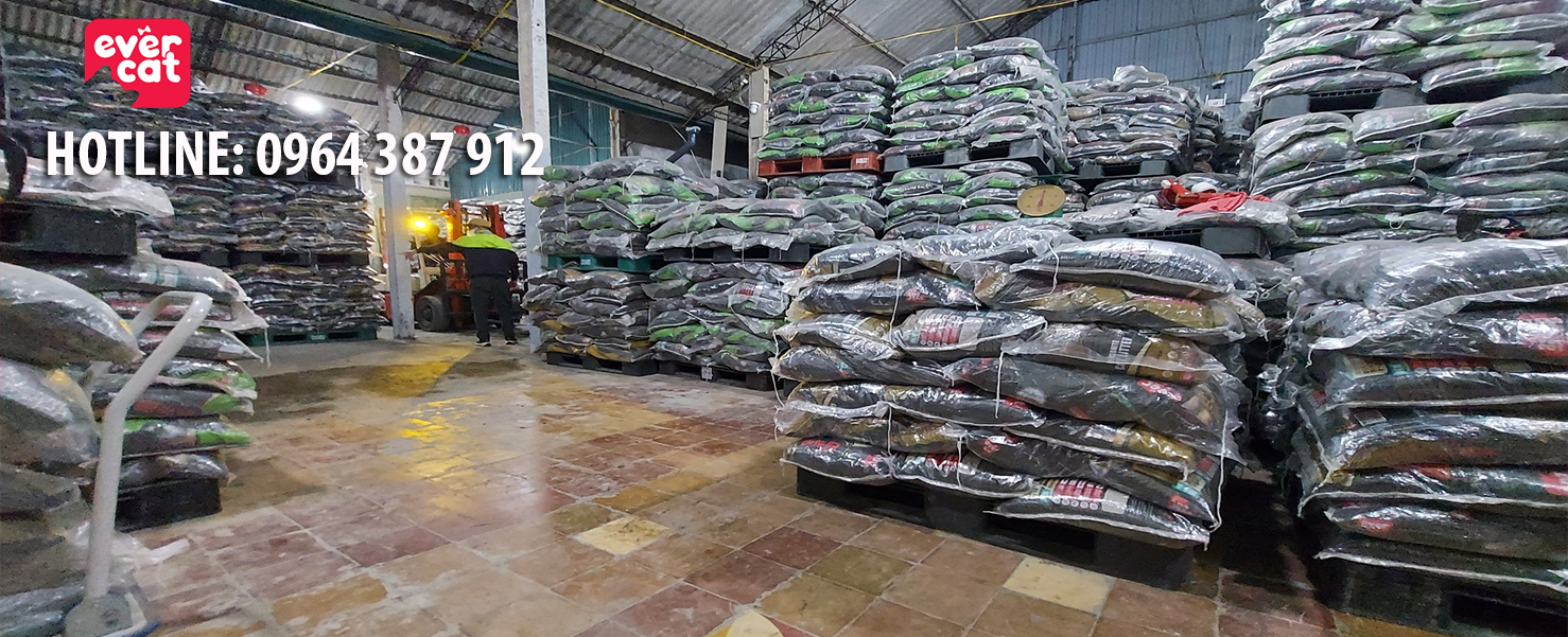 Cát vệ sinh cho mèo Ever Cat