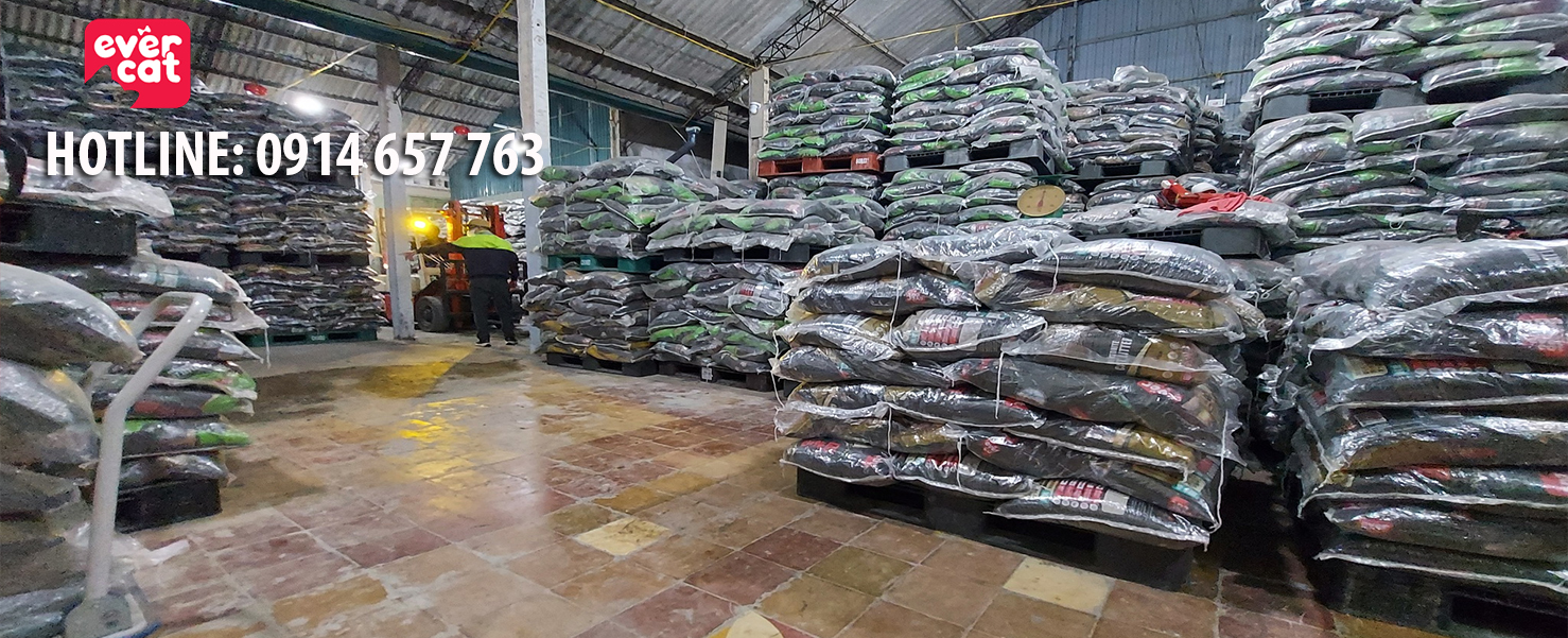Cát vệ sinh cho mèo Ever Cat