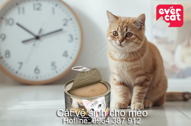 Pate cho mèo để ra ngoài được bao lâu