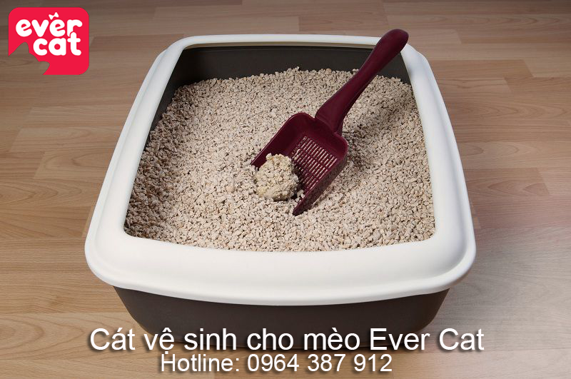 Bán cát vệ sinh cho mèo tại Hà Nội sỉ lẻ evercat